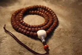 盘小金刚的时候千万注意这五点！图片