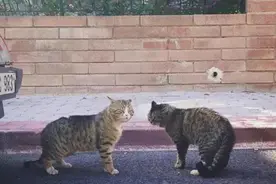 怎样评论一个人图片