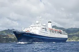 65岁老太太跳海追赶游轮，游出500米后便开始求救图片