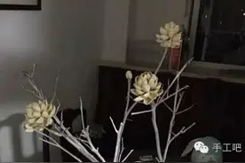 手工DIY-不花钱、不凋谢的花图片