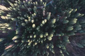 意想不到的俯瞰美景，你能看出其中奥妙吗图片