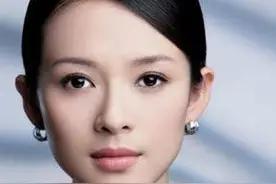 汪峰和章子怡谁的钱多？猜测汪峰的资产是全国摇滚歌手一年的收入图片