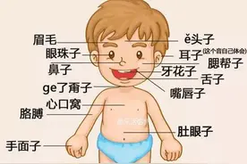 只有宿州人才能看懂的人体构造图，好羞涩！图片