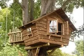 世界那么大！你为什么不自己去建一座树屋？图片