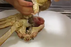 没想到一只松叶蟹会有这么大吧，看看日本大厨怎么处理视频封面