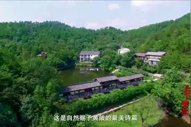 游遍天下——天下黄陂