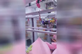 剪刀机绳子粗剪不断？看抓娃娃大神怎么玩剪刀机！先顶一下再剪！