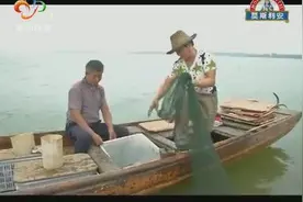 你吃的是正宗梁子湖蟹吗？可能只是“梁子牌”！视频封面