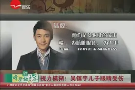 吴镇宇儿子眼睛受伤 网友质疑是陆毅女儿所致视频封面