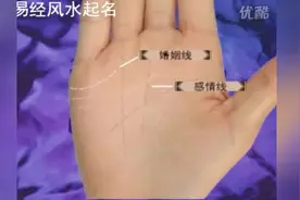 手相教学视频（8）教你如何看结婚年龄和三角恋爱关系，值得收藏视频封面