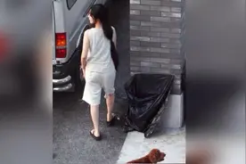 路人实拍范冰冰无PS素颜照曝光，原来这才是范冰冰最真实的模样！视频封面