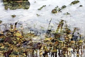 一首李健-迷雾 好听啊啊啊啊啊