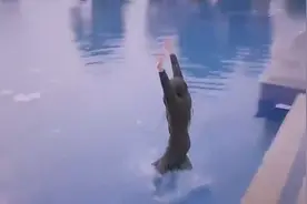 迪丽热巴多敬业怕水的她这段戏是怎么一遍遍拍下来的！视频封面