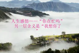 人生感悟——“你在忙吗”，另一层含义是“我想你了！”