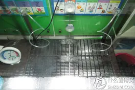 一个永远都伤不起的痛 — 水晶虾图片