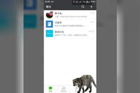 微信也有宠物了？教你一招养一只超萌的宠物小猫