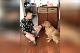 看给你厉害的在家里也不知道谁是老大视频封面