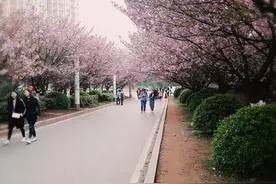 i在林科大你不能浪费的周末图片