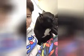 你干啥啊 看我干啥啊 我给你说这可不是我干的你别想冤枉我