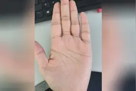 此手相智慧线分叉，容易遇到小人，生命线分叉，你事业和健康关键