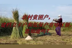 农村贫困户，建档立卡户和低保户有啥区别，您知道吗？视频封面