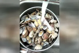 花蛤的蜜汁做法！