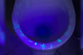 教你用手机做个紫光灯，超简单！