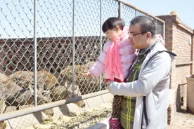 马场鹿苑亲子踏青 北辰青光镇将重塑“桃花源”图片