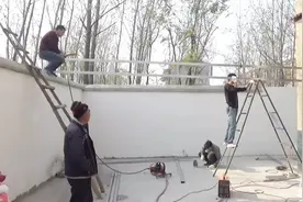 豫东农村小院 这样搭建车棚既省钱又牢固 老大爷看着挺满意