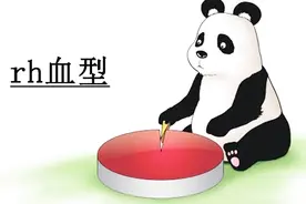rh血型阳性是什么意思？