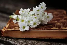 小说：魂穿千年李承乾归来彻底发疯。陛下！我知道我不是太子了！图片