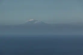 小说：废物小伙扮猪吃老虎，一场宗门大比，他把所有人心态搞崩了图片