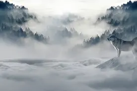 小说：天下没有不散的宴席，慕容思思离开。图片