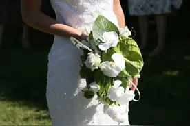 胡子胡子胡子图片