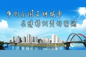 木偶剧团进校园 传统剧目润童心图片