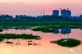 全国第一！山东国家级园林城市（县城）达57个，你的家乡上榜了吗？图片