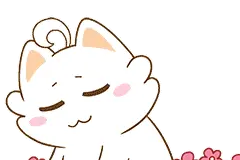 从此，衢州这69个乡镇（街道）有新名字了！有你家乡吗？图片