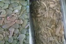 海鲜大全，龙湾人你吃过哪几样？图片