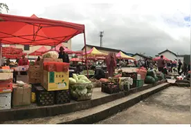 田野营报告︱被“革命”的公共厕所图片