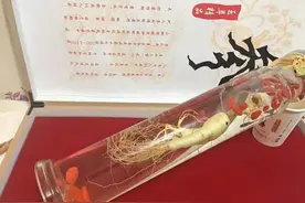 你喝过人参酒吗？图片