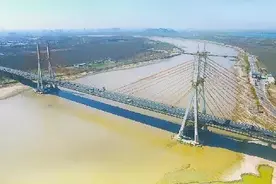 济南黄河大桥彻底免费！收费站15日内逐步拆除！最近会堵，这类车仍不能走……图片