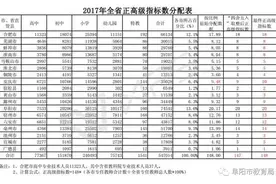 正高评审开始！阜阳20个名额，看看需要哪些条件（附名额分配表）图片