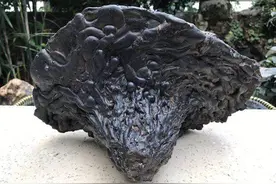 20万一克! 香格里拉陨石现身成都珠宝展 质疑者：这是炉渣图片