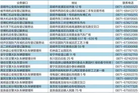 昆明22个服务点可上新能源车号牌图片