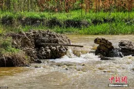 今年8-10月全国各级环保部门共接环保举报逾18万件图片