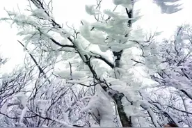寒气袭人 贵州省多地雨雪持续图片