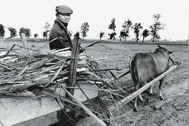 阮义忠：给台湾乡土社会深情一瞥图片