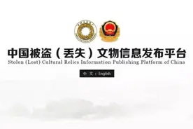 从北齐王志高造像到影青瓷孩儿枕，被盗文物有了发布平台图片