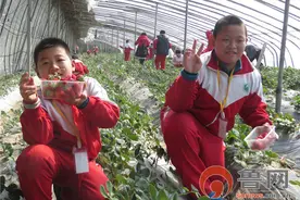 胜利河口一小：相约草莓园，踏青新体验图片