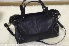 晒晒这些年败过的包 篇一：国产小天后—DISSONA ＆GILLIVO图片